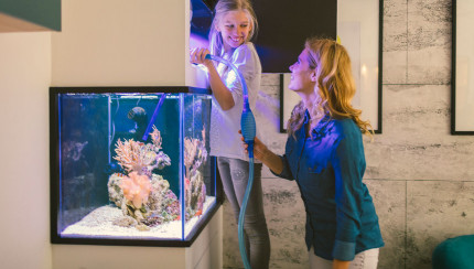 TITLE_FR_FR does not exist